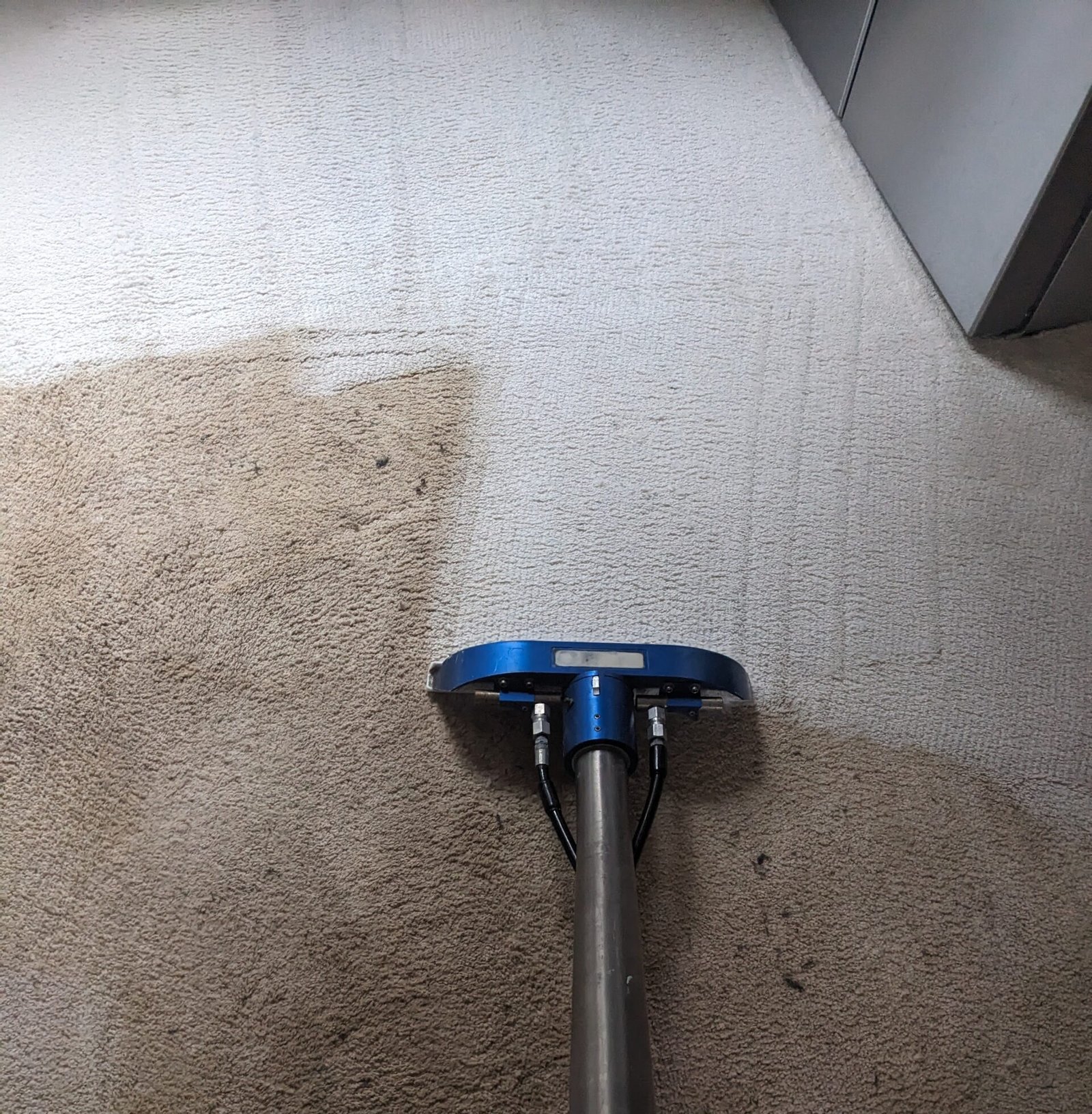 carpet cleaners west sussex